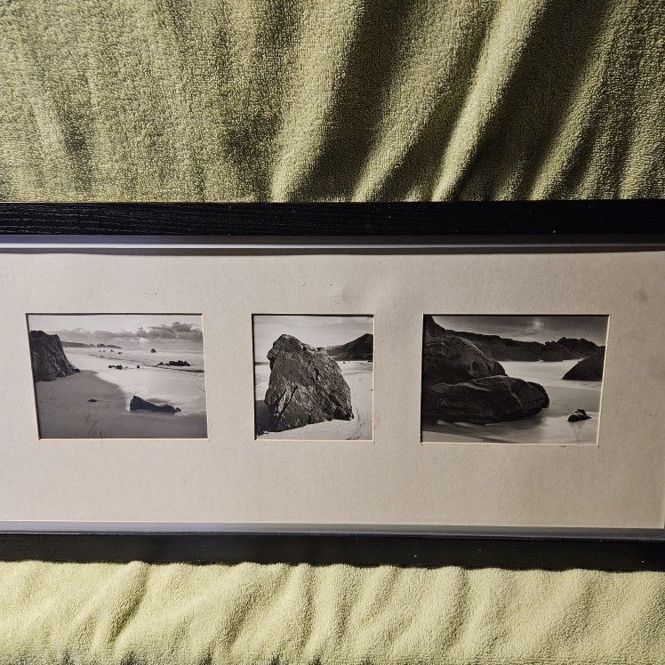 Ocean Beach Escapes- Framed photo