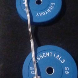 Ez Curl Bar And 2.45 Bumper Plates
