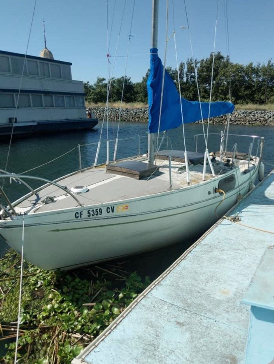 Sailboat ⛵️ Brannan Island 🏝️ Best Offer We Deliver As Well
