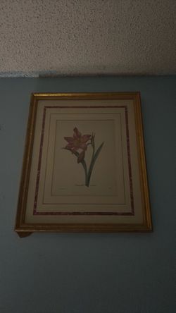 Framed Botanical Flower Print
