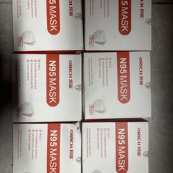 N95 Mask