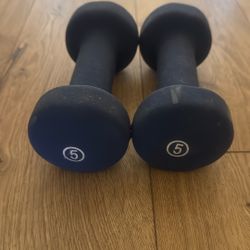 5lb Weights