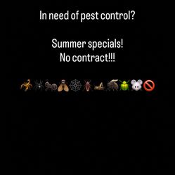 Control Pest 