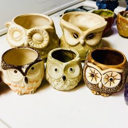 7 Succulent Planter, Pottery, Owl, Ceramic Pots With Drain  Holes Under With 