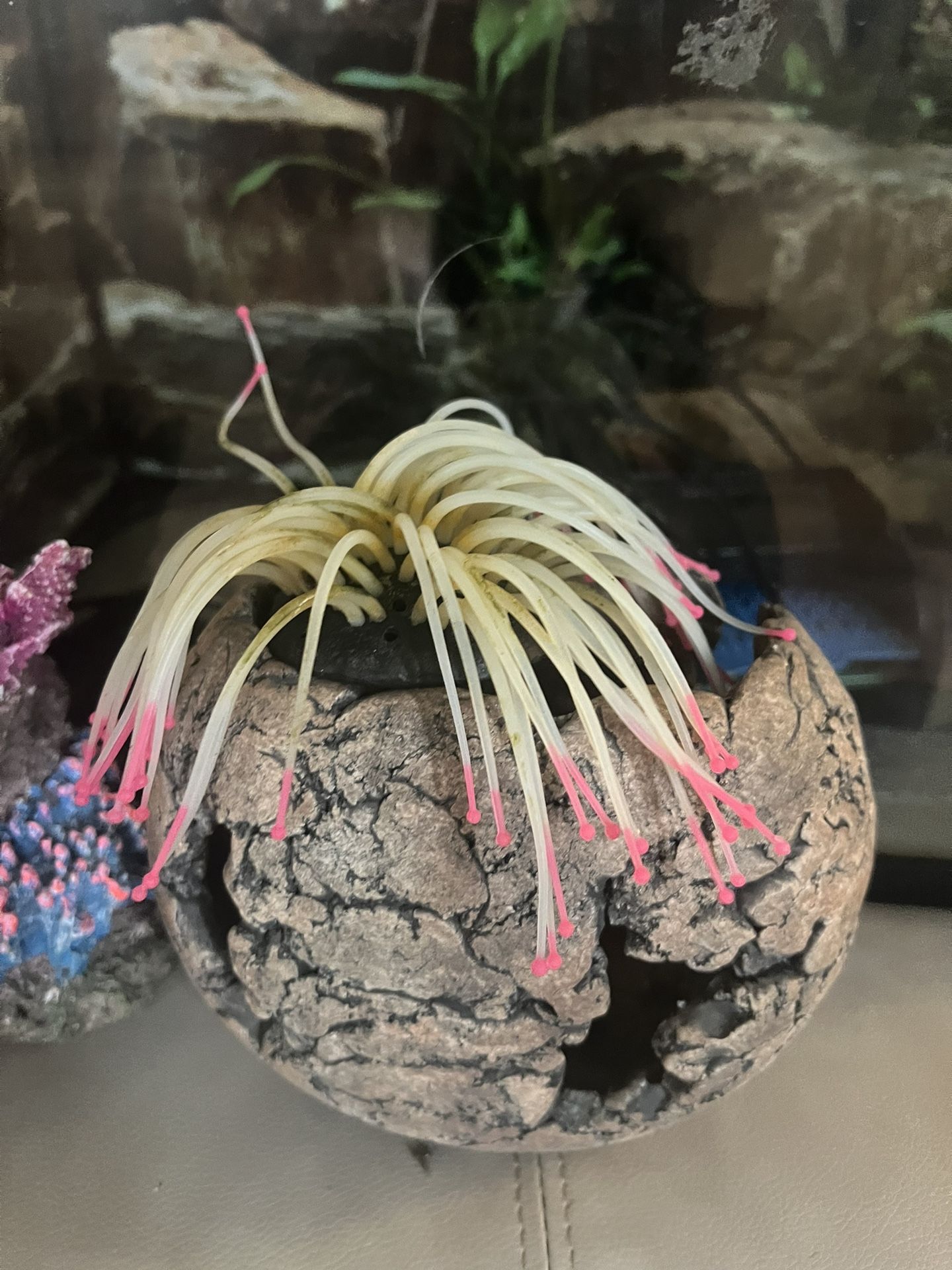 Fish Tank