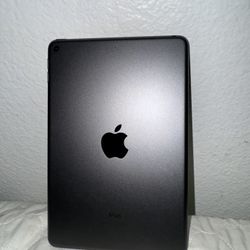 iPad Mini (5th Generation)