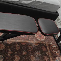 Workout Bench