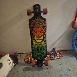 Santa Cruz 'Lion God Rasta' long board 