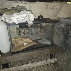 30 Gal Fish Tank. 