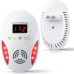 Carbon Monoxide Detector 