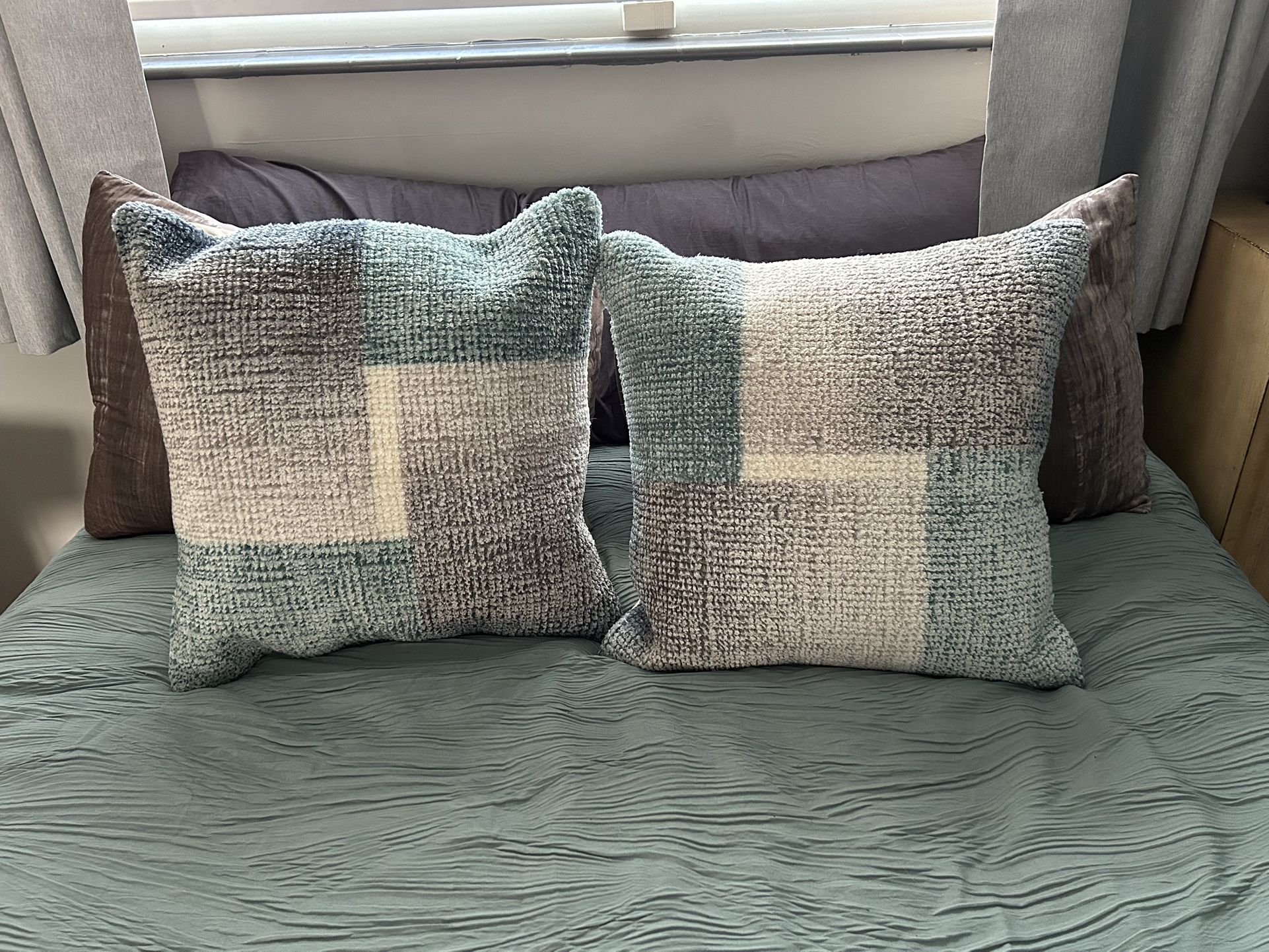 2 West Elm Pillows