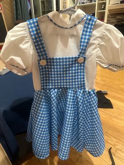 Dorothy Costume