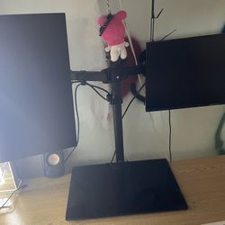 Dual Monitor 75Hz (not the Laptop)