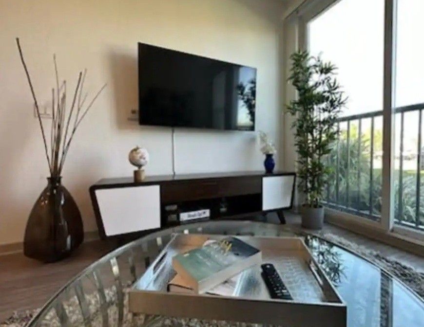Tv Stand + TV + Coffe Table + Decorative Accessories 