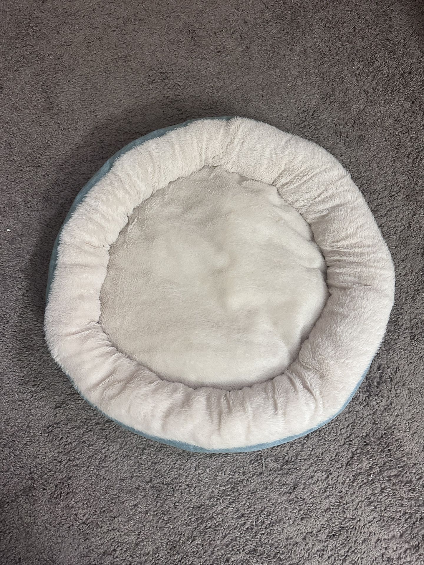 cat beds
