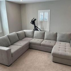 New Feeds 