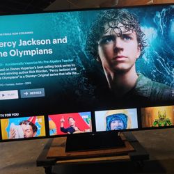 Sony Bravia 75" Smart Tv