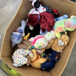 Box Full Of beanie babies