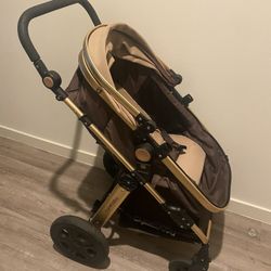 Cynebaby Stroller 