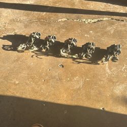 1 Inch Rain Bird Valves 