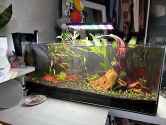 Aquarium 6.8 gallons