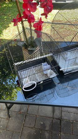 Bird Cages