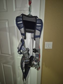Exfit Safety Harness