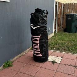 Everlast Punching Bag