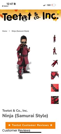 Ninja (Samurai Style) costume