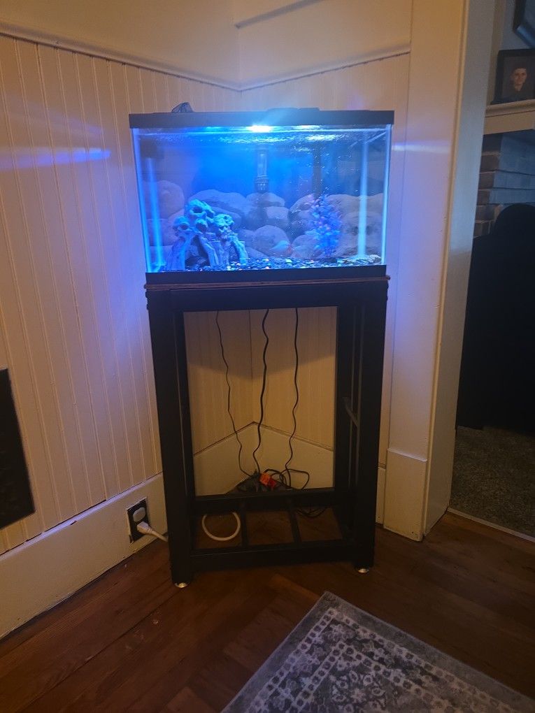 Fish Tank