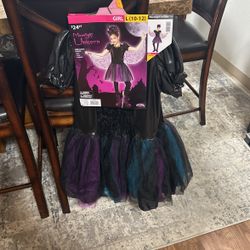 Moonlight Unicorn 🦄 