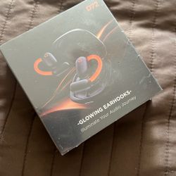 Al Translation Earbuds 