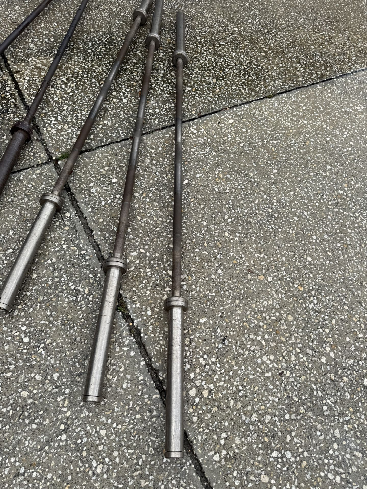 Promaxima Bar $80 Each