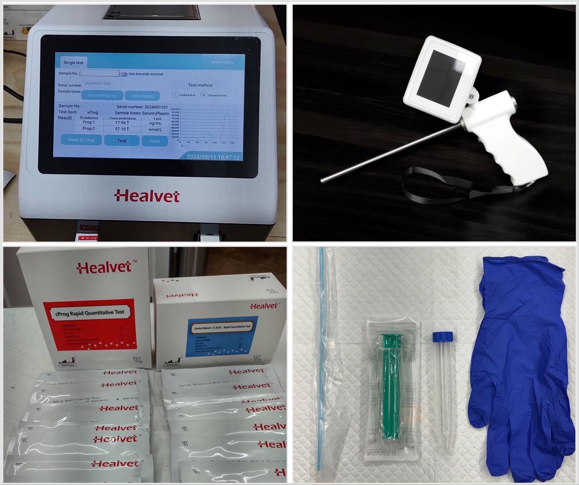 Progesterone Testing French Bulldog