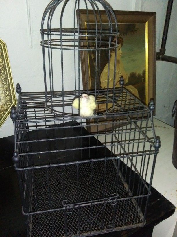 NEW NEVER USED ROYAL LARGE BIRD. CAGE