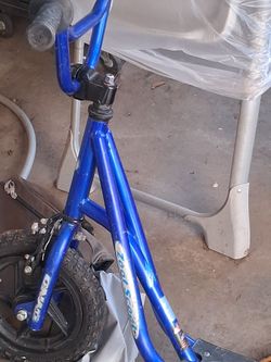 zoot scoot
