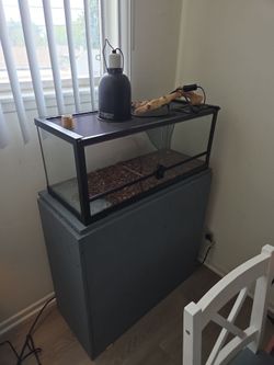 Iguanna enclosure