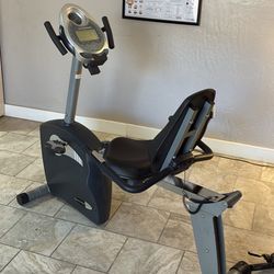 Schwinn Exercise Bike