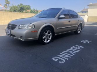 2001 maxima