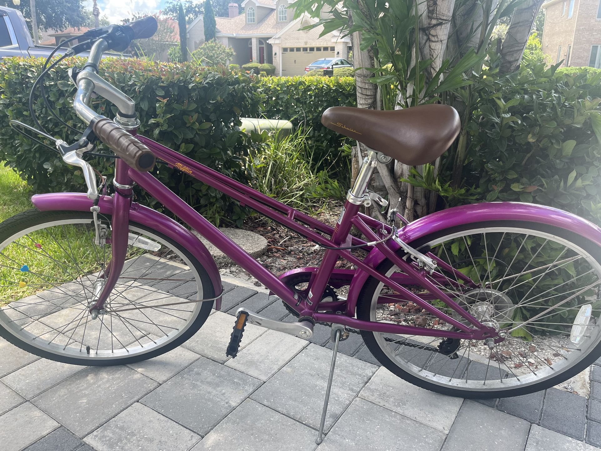 Girls Schwin Bicycle 24 