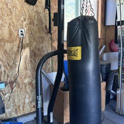 Everlast Punching Bag With Stand