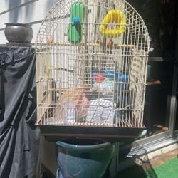 Bird Cage With A Lot Of Accessories 