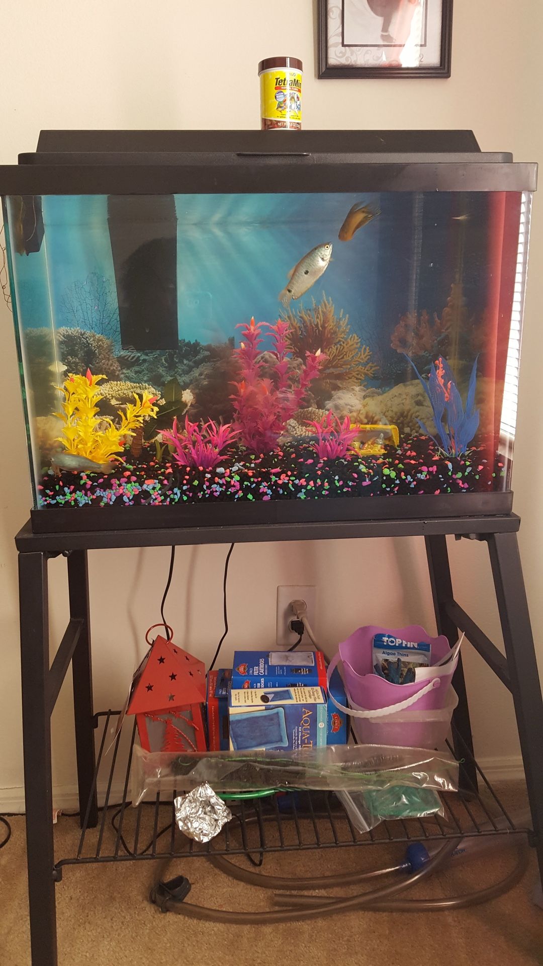 Fish Tank & Stand Only