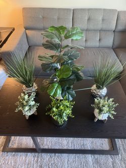 Decorative Artificial Plants