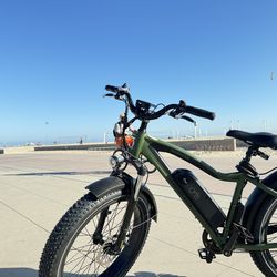 e-Bike Cruiser Rad Power original $1999.00