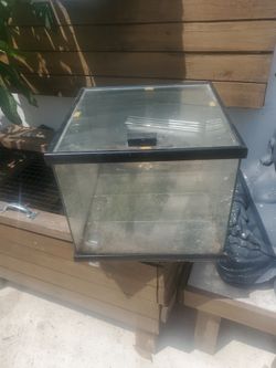 Reptile Terrarium  16 W X 13 Tall 