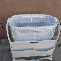 Moisés.  Perfectas.   Condiciones.     $ 50. DLS