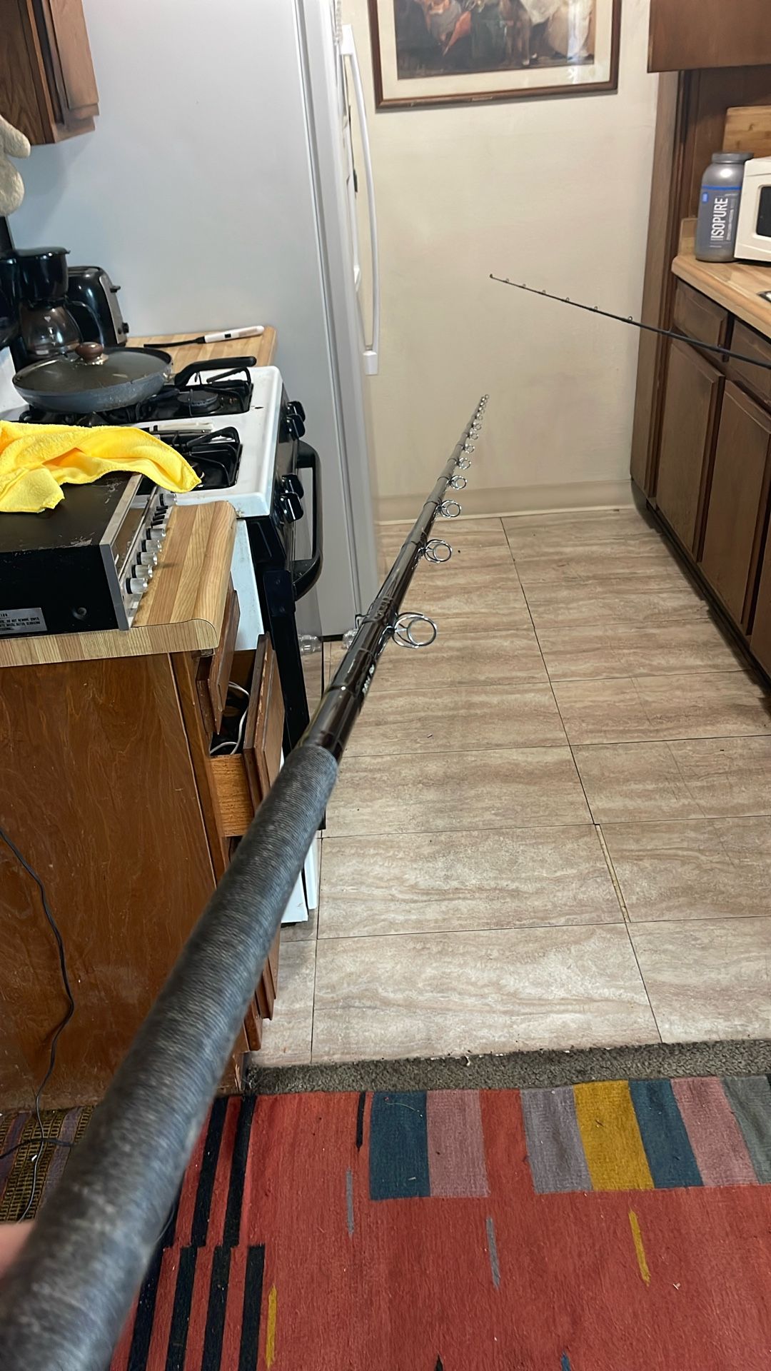 Seeker 10 Foot Ul UA