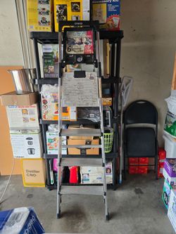 Costco Signature ladder