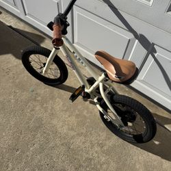 Toddler Bike